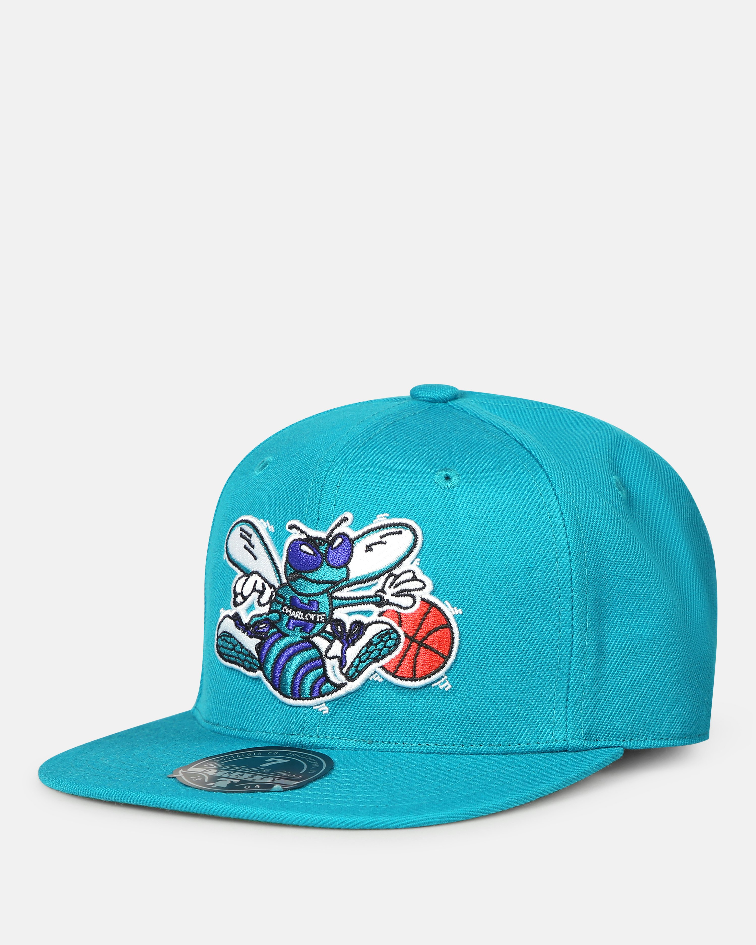 charlotte hornets mitchell and ness hat