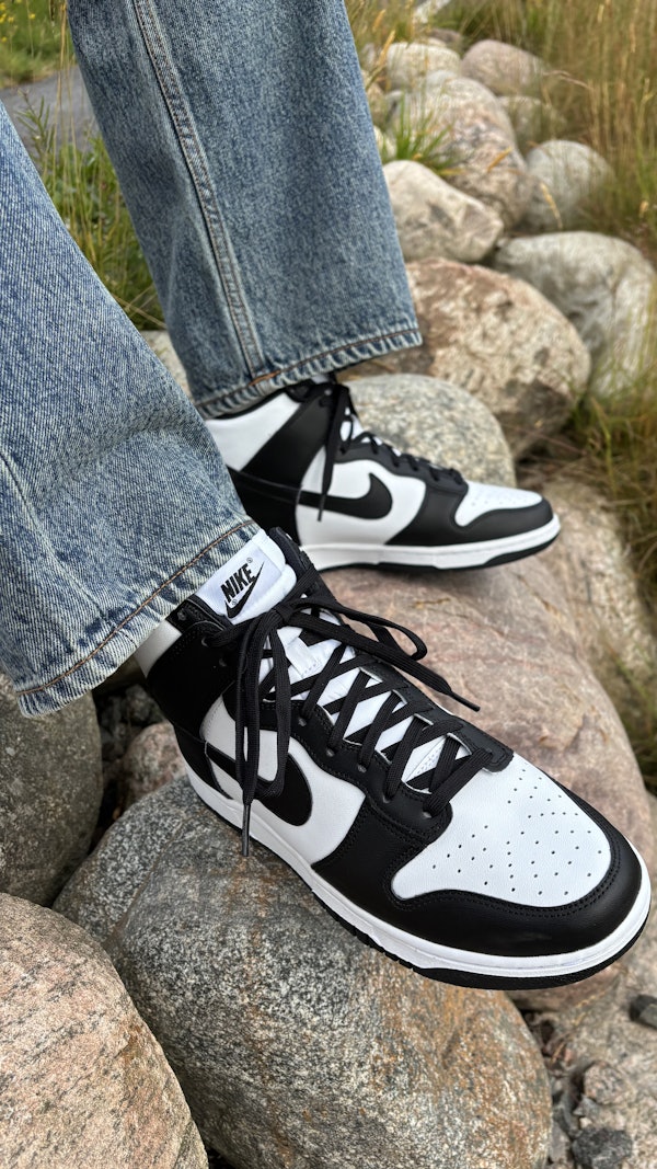 Dunk High Dunk Low Panda On Feet Dunk High Dunk Low White Black On